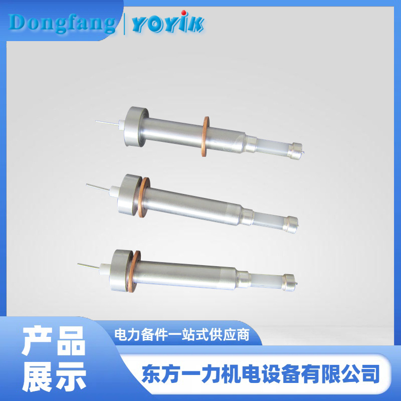 电接点水位计电极